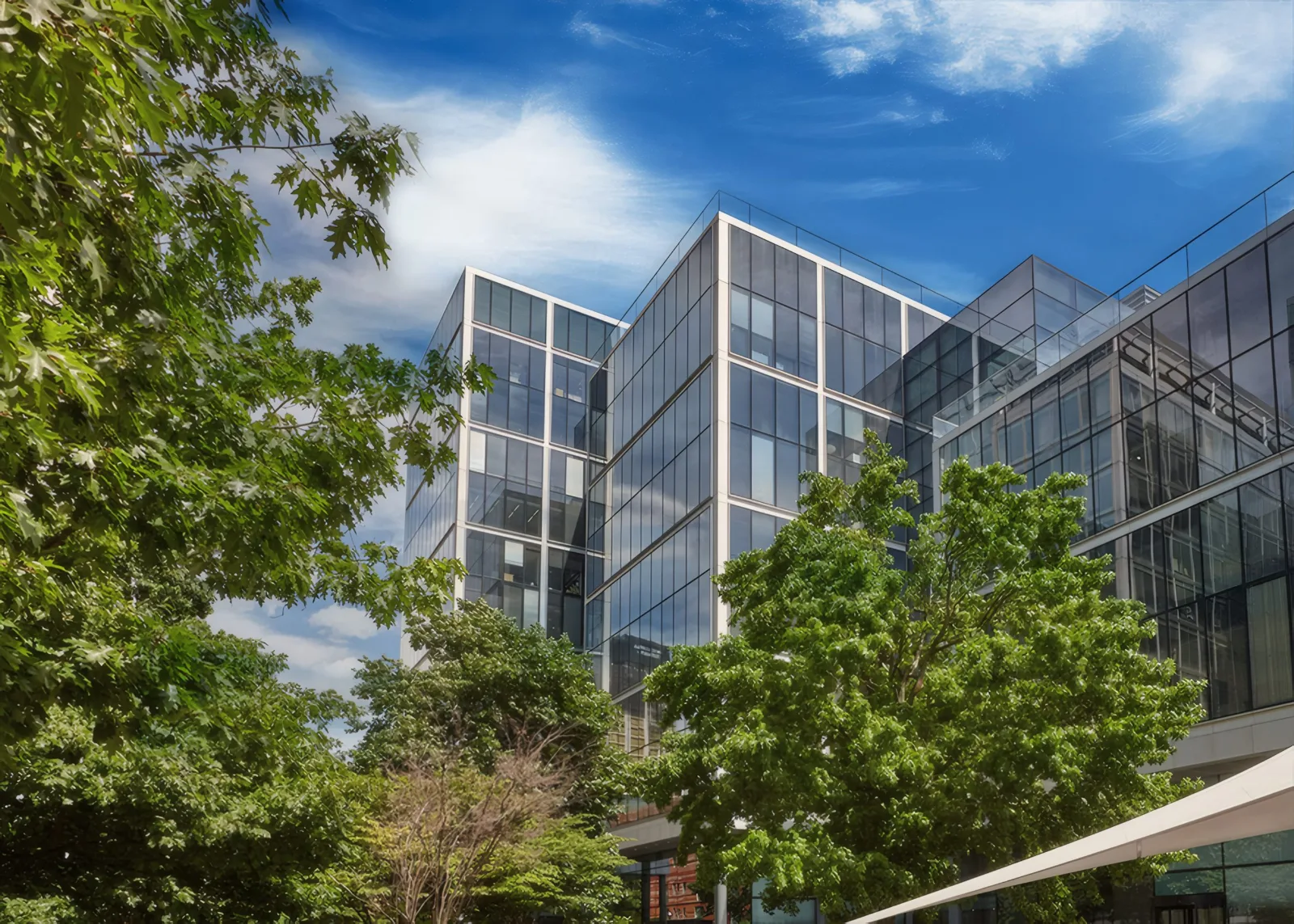 The glazed office buildings of Bishops Square, framed by mature trees.